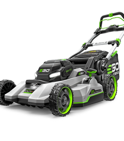 rootyc product 14 image 1